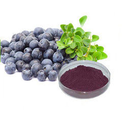 Acai Berry Herbal Extract