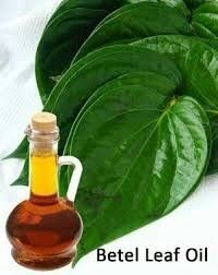 Betel Leaf Essential Oil