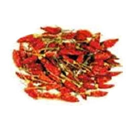 Bird Eye Red Chilli