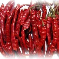 Finest Quality Teja Red Chilli