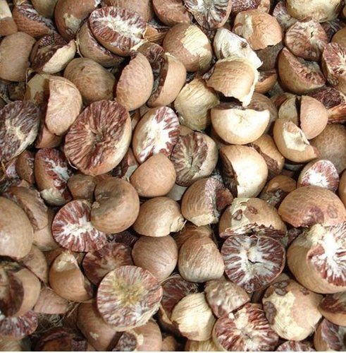 Dried Betel / Areca Nut