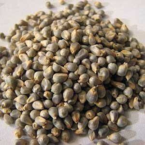 High Quality Green Millet Admixture (%): 0%