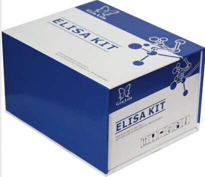 Human Brain Derived Neurotrophic Factor(BDNF) Elisa Kit