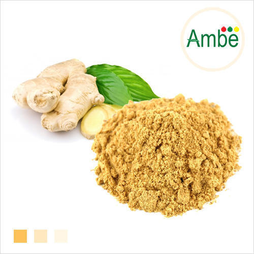 Low Price Ginger Extract