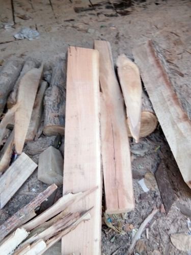 Low Price Timber Wood