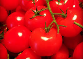 Red Color Fresh Tomato