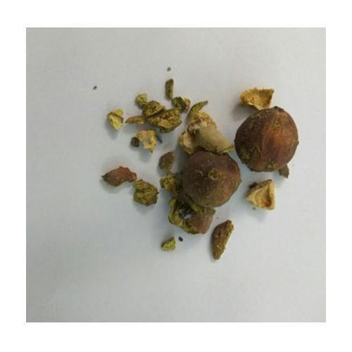 Dried Behada (Terminalia Bellirica)