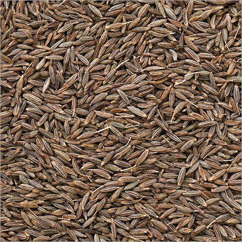 Grey Cumin Seeds