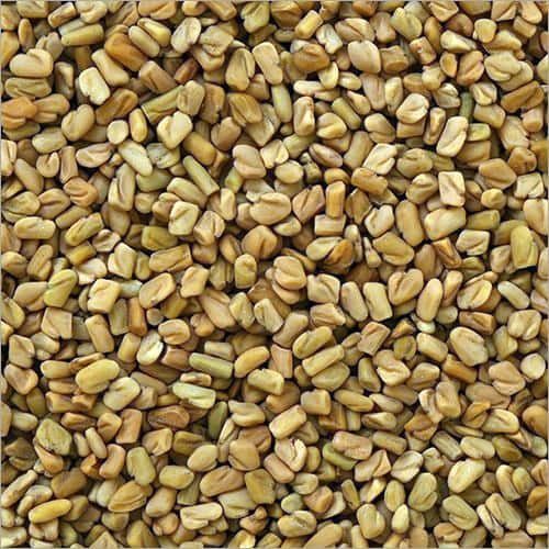 Fenugreek Seeds