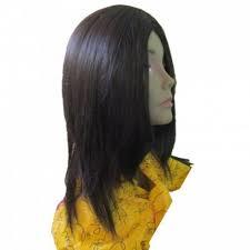 Human Straight Hair Wig