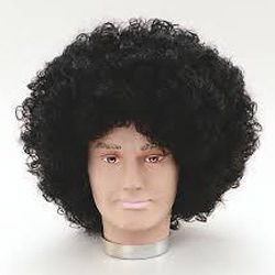 Natural Hair Afro Wig