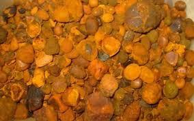 High Grade Ox Gallstone