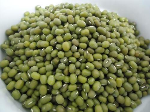 Organic Green Mung Beans