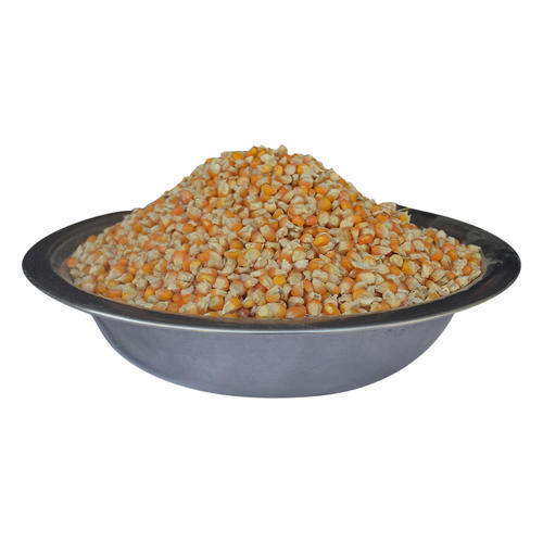 Excellent Quality Corn Seed