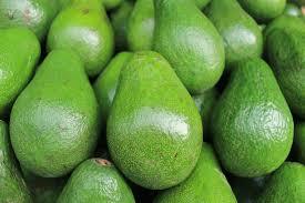 Fresh Indian Avocado Fruits