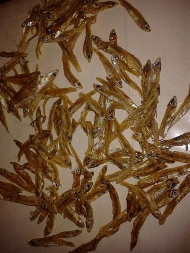 High Nutrient Value Dry Anchovies