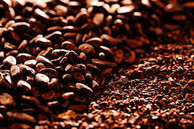 Premium Quality Cocoa Beans