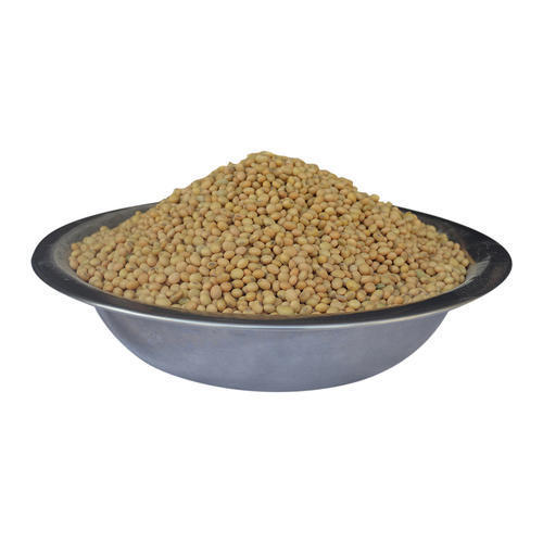 Soybean Oil Seeds - High-Quality Non-GMO Variety, Ideal for Cooking and Nutritional Uses