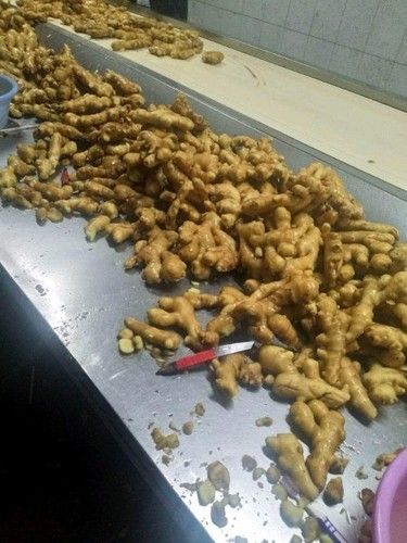 High Grade Fresh Ginger