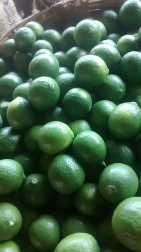 Indian Fresh Green Lemon