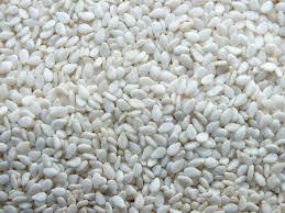 Plain White Sesame Seeds