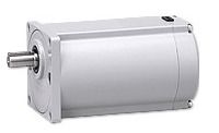 Induction Mini Gear Motor (6 W to 90 Watt)