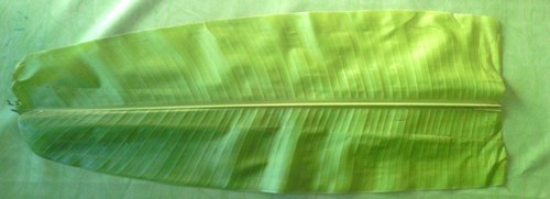 Fresh Banana Leaf