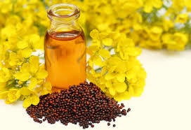 High Pungency Pure Mustard Oil