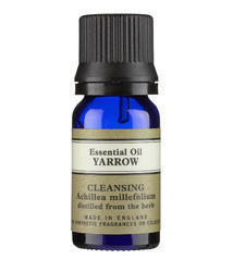 High Quality Yarrow Oil