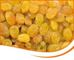 Premium Quality Golden Raisins