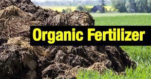 Organic Fertilizer By KRS ENTERPRISE
