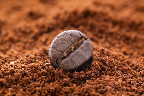 Organic Instant Coffee Powder