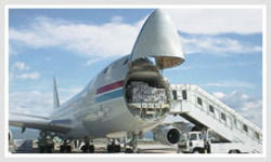 Economical Air Freight Service