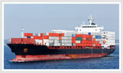 Economical Sea Freight Service