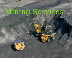 Herbal Product Mining Contractor Service