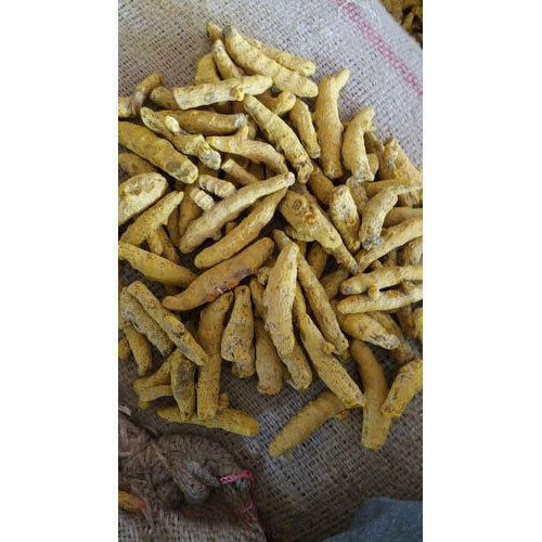 Silver Organic Raw Turmeric Finger