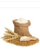 Indian Organic Wheat Flour