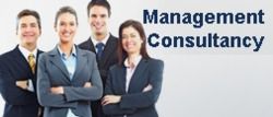 Management Consultancy Service