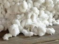 Plain White Raw Cotton