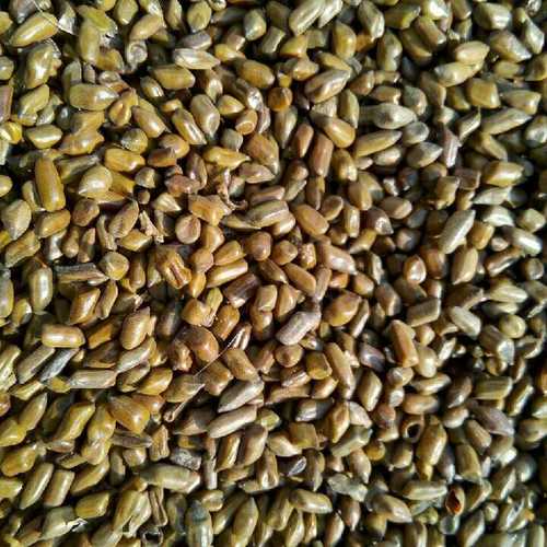 Guar Gum Cassia Tora Seeds