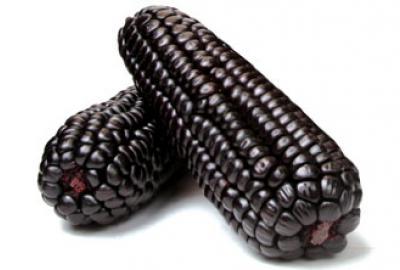 Organic Fresh Purple Corn