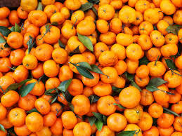 Fresh And Healthy Orange Fruit