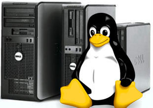 Linux Server Administrators Services