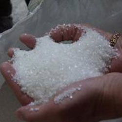 Plain White Crystal Sugar