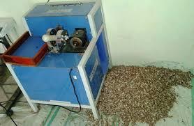 Betel Nut Cutting Machine Industrial