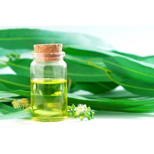 eucalyptus oil