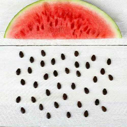 Watermelon Seeds