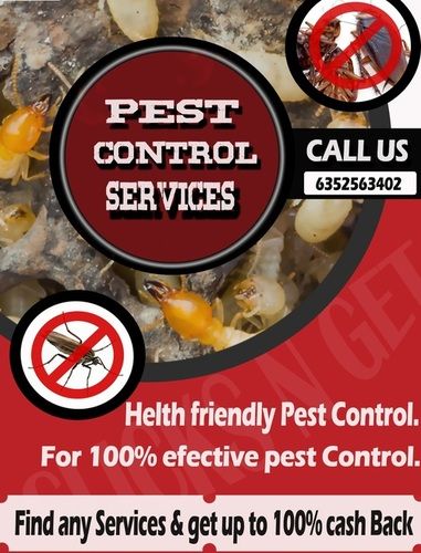 Best Termite Control Services By Click Pest Control Service 