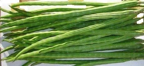 Farm Fresh Green Drumstick