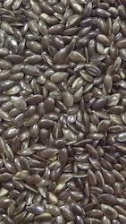 Highly Demanded Roasted Flax Seeds